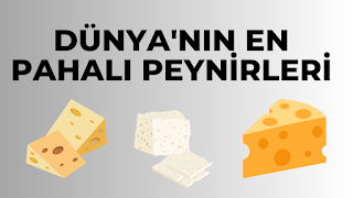 DÜNYA’NIN EN PAHALI PEYNİRLERİ-DÜNYA’NIN EN PAHALI 5 PEYNİRİ