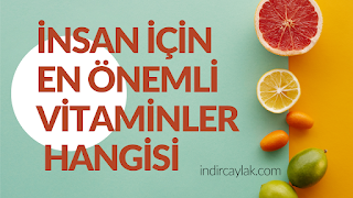 EN ÖNEMLİ VİTAMİN HANGİSİ ?